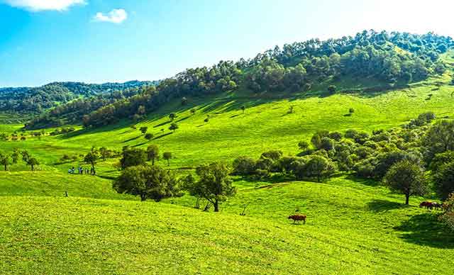 宝鸡市·陇县·关山牧场户外拓展基地
